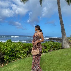 Nastygal Zebra Multicolor Sheer Maxi Dress